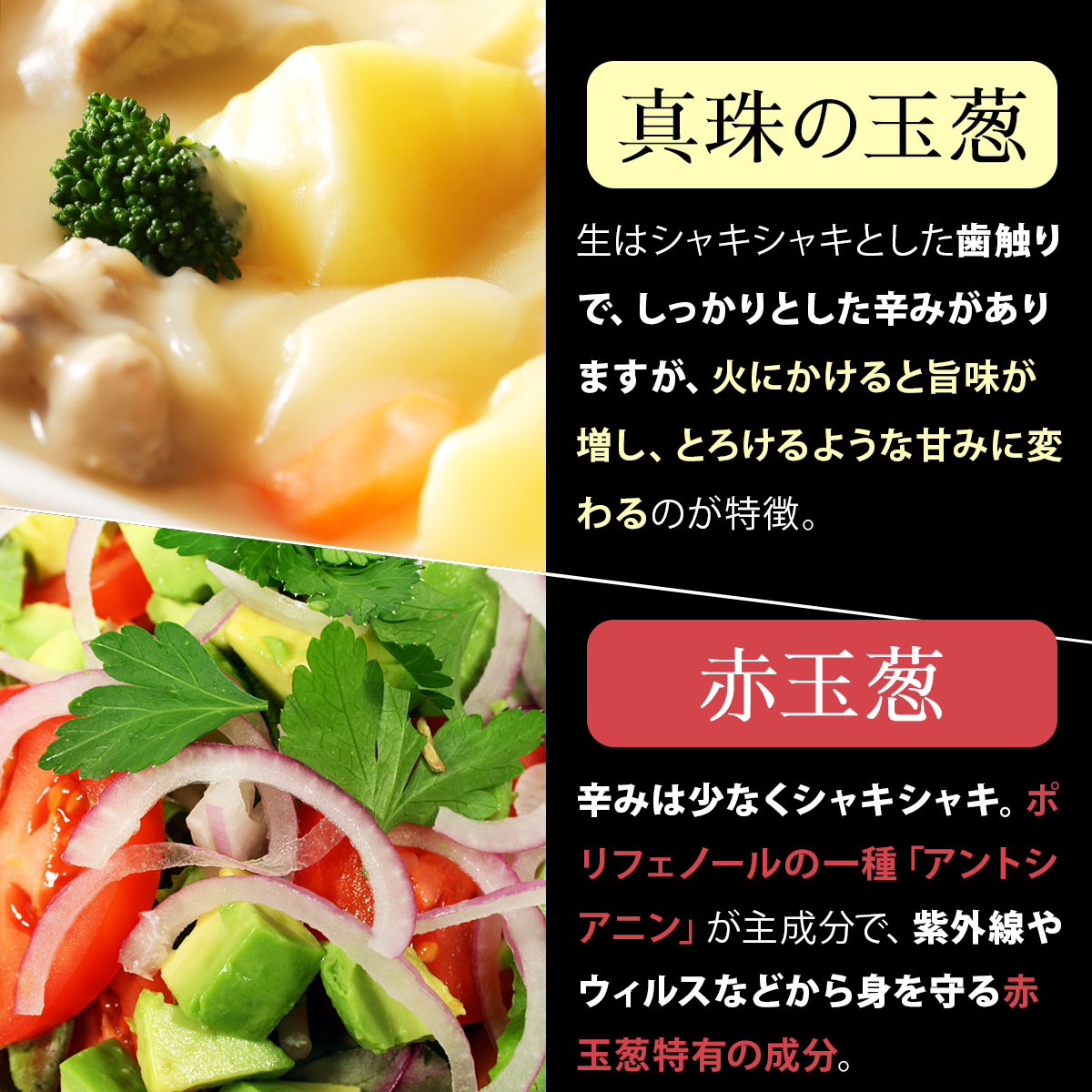 真珠の玉葱 特別栽培Lサイズ5kg(赤玉葱5個入り) ≪海のミネラルで育てた特別栽培玉葱≫【50108】