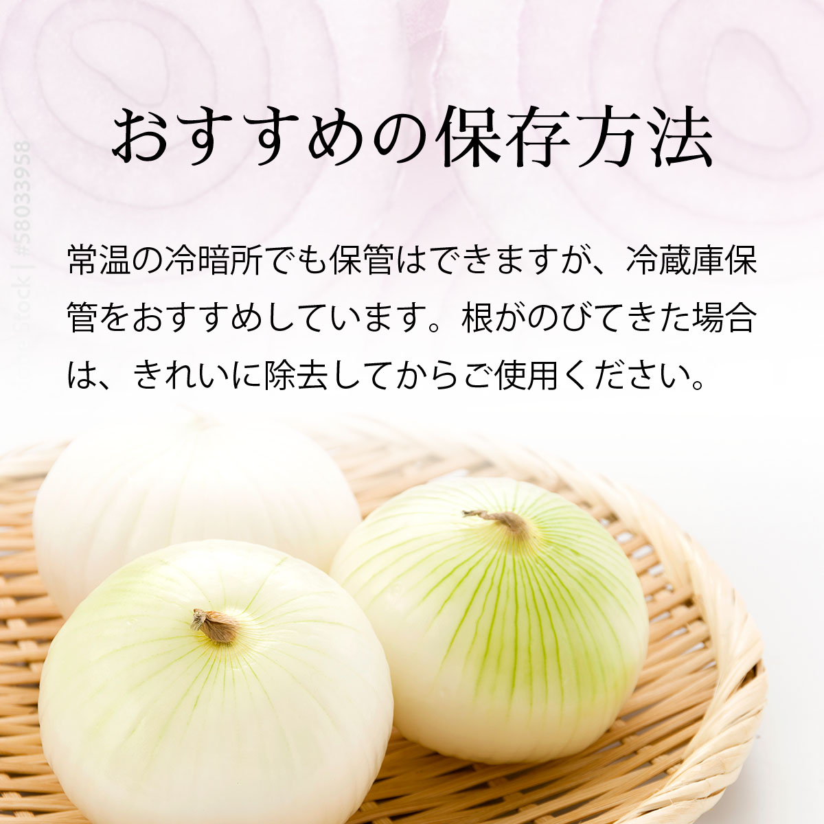 真珠の玉葱 特別栽培Lサイズ5kg(赤玉葱5個入り) ≪海のミネラルで育てた特別栽培玉葱≫【50108】