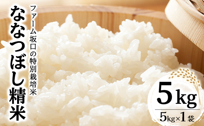 令和7年産！ファーム坂口の特別栽培米 ななつぼし精米 5kg