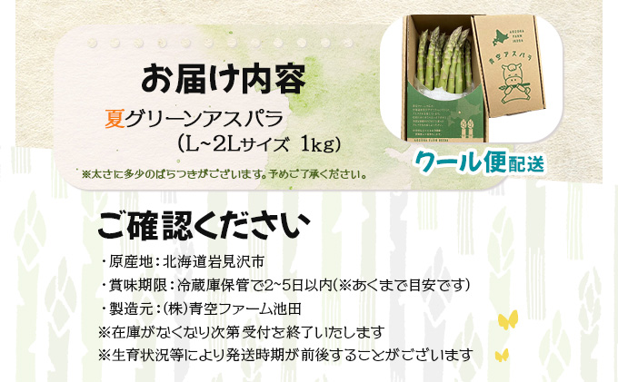 【先行予約／令和8年産】北海道岩見沢産　夏グリーンアスパラ　L〜2Lサイズ 1kg【41104】