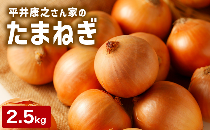 岩見沢産「平井康之さん家のたまねぎ」M玉 2.5kg【食絶景北海道×ゼ ロカーボンアワード2024 奨励賞『オニオンスナック オニカ』で使用】たまねぎ 玉葱 タマネギ 産地 まとめ買い 贈り物 甘い 野菜 北海道 送料無料