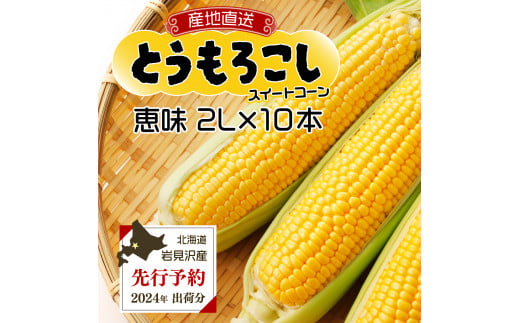 ≪先行予約≫ 市場の目利き 北海道岩見沢産とうもろこし「恵味 2L 10本」