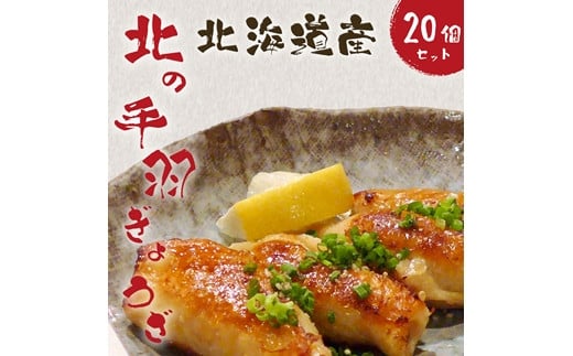 北海道産鶏肉を使った手羽先餃子【北の手羽ぎょうざ】20個セット(5個×4袋)≪配送地域限定≫【53102】