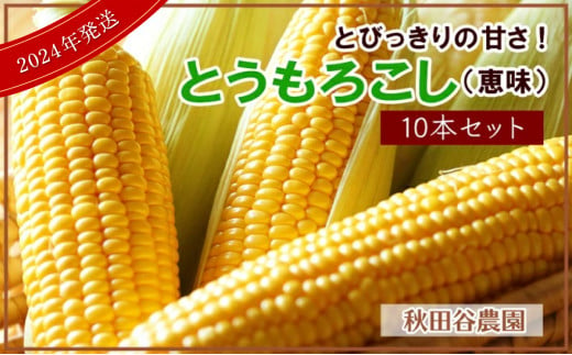 ★7月発送★とびっきりの甘さ！とうもろこし（恵味）10本セット【秋田谷農園】【a014-021】