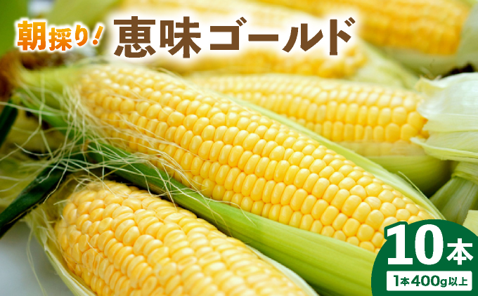 【先行予約】朝取りスイートコーン「恵味ゴールド」10本入り｜コーン とうもろこし 岩見沢市 野菜 北海道【a167-001】