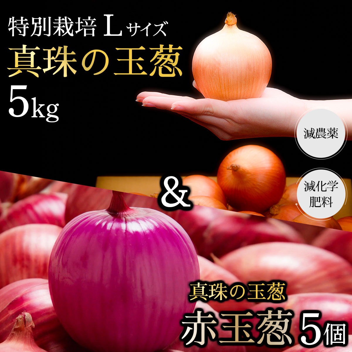 真珠の玉葱 特別栽培Lサイズ5kg(赤玉葱5個入り) ≪海のミネラルで育てた特別栽培玉葱≫【50108】