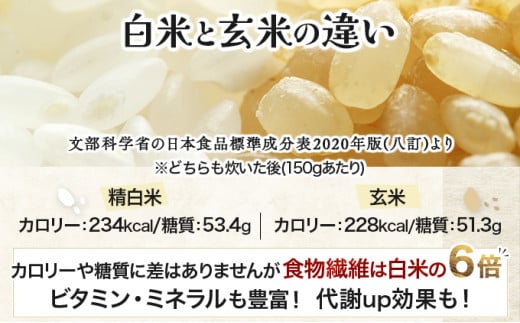 《令和7年産！》『100%自家生産玄米』善生さんの自慢の米 玄米ななつぼし５kg※一括発送【06120】