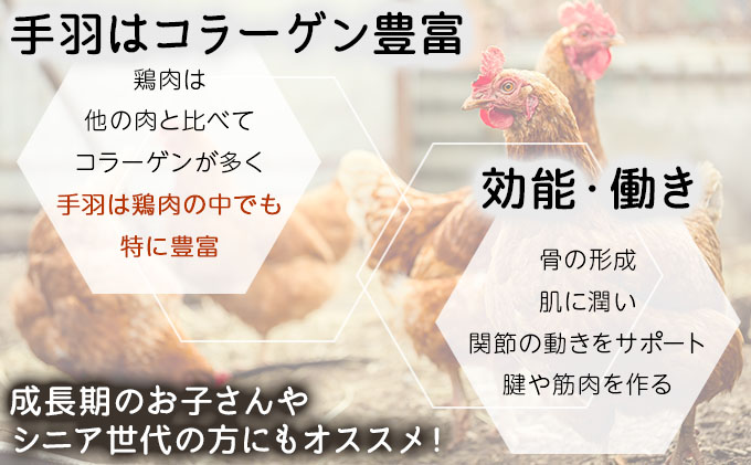 北海道産鶏肉を使った海鮮手羽先餃子【北の海鮮手羽ぎょうざ】30個セット(10個×3種)≪配送地域限定≫
