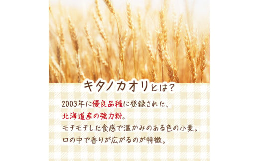 『キタノカオリ小麦のフルコース』北海道産小麦の石窯おまかせパンセット【19101】