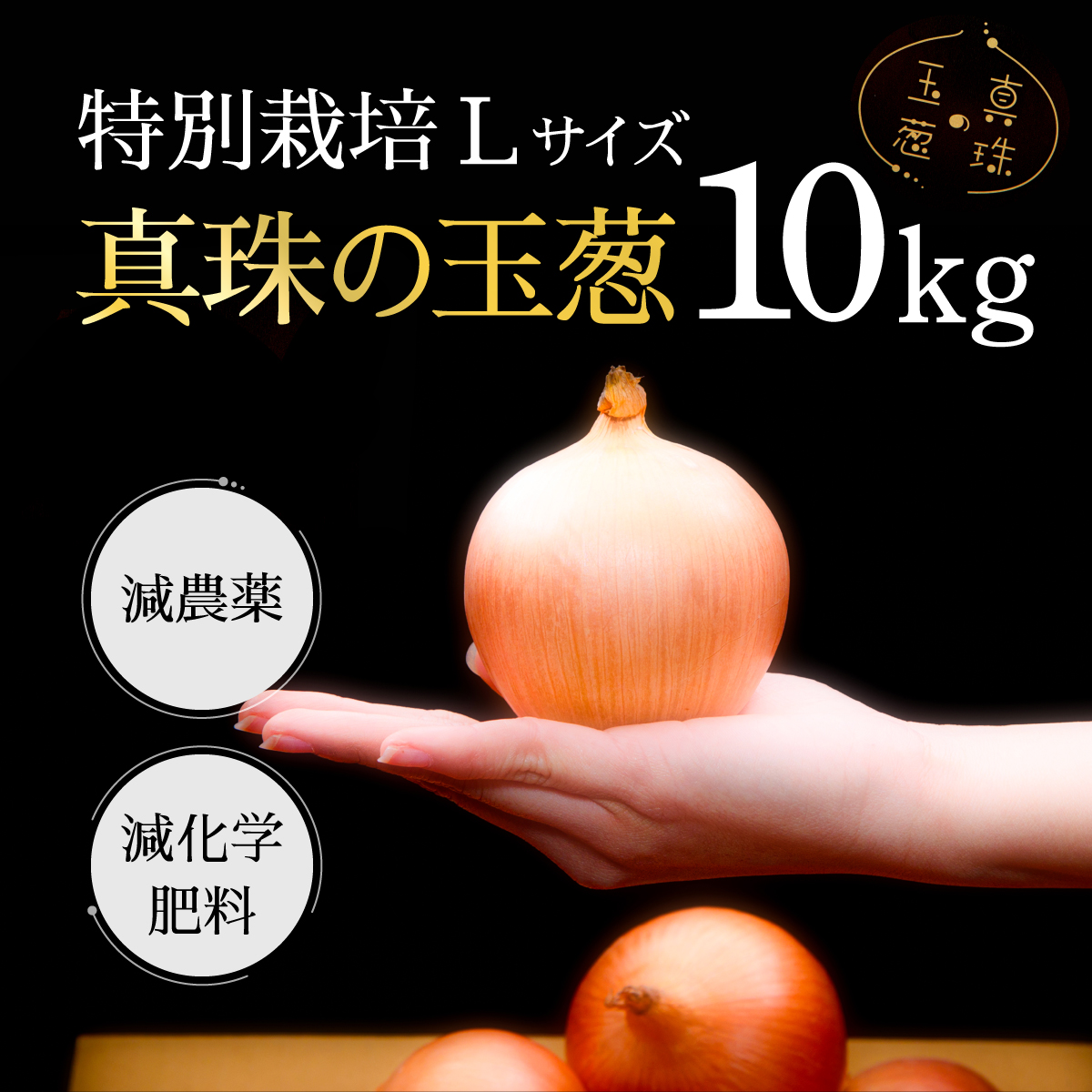 真珠の玉葱 特別栽培Lサイズ10kg ≪海のミネラルで育てた特別栽培玉葱≫【50102】