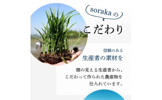 ご近所さんにも配って♪『きな粉くるみ』素朴でおいしい、岩見沢産のきなこ使用。10袋セット【24028】