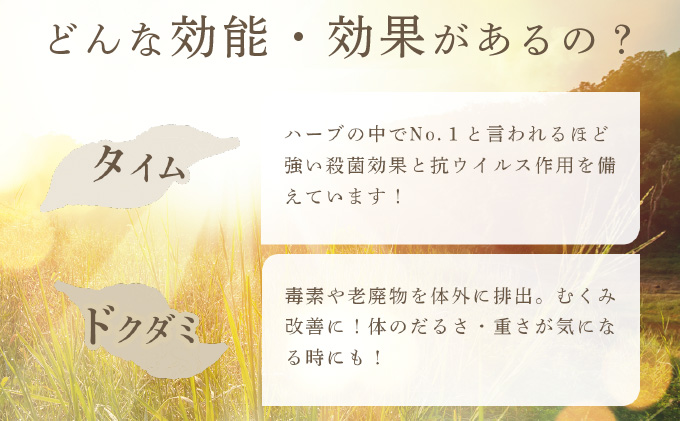 【定期便】森のハーブティーセット(3点合計39g) ≪1ヶ月に1回 計6回のお届け≫【無農薬・化学肥料不使用】【51102】