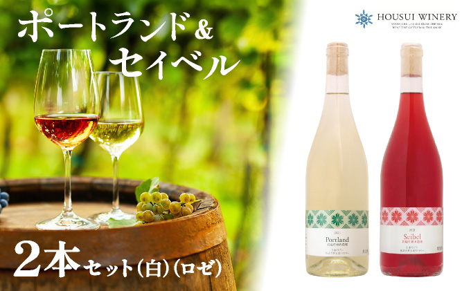 北海道岩見沢市の風土を生かした宝水ワイナリーワイン２本セット（白・ロゼ）【31101】