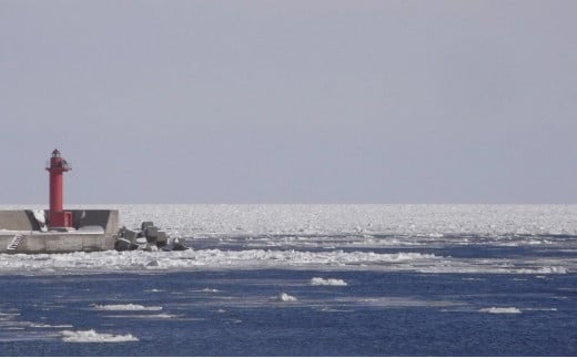 縲2026蟷エ譁ー迚ゥ蜈郁。御コ育エ縲醍カイ襍ー蜑肴オ懃肇 辟。豺サ蜉繝帙ち繝雋晄浤縲 500g (500gテ1) 縲托シ2026蟷エ6譛15譌・繧医j鬆谺。逋コ騾シ ABAI038