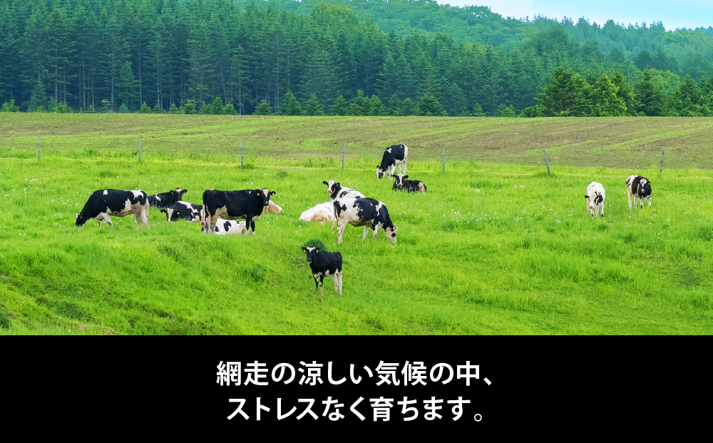 Rimo ã«ãããœããã¯ãªãŒã ã120mlÃ12åã| ã¢ã€ã¹ ã¹ã€ãŒã ã¢ã€ã¹ã¯ãªãŒã ã«ããã¢ã€ã¹ ãœããã¯ãªãŒã ABA020