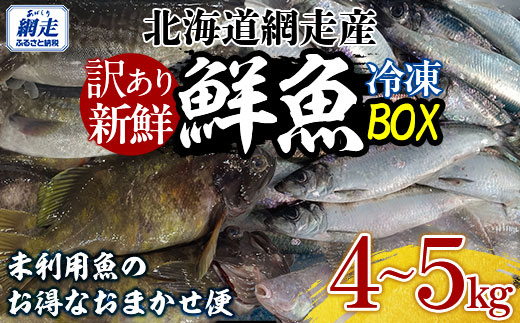 【訳あり】網走産冷凍鮮魚BOX～未利用魚の有効活用（漁業生産者応援企画）～ ABAE011