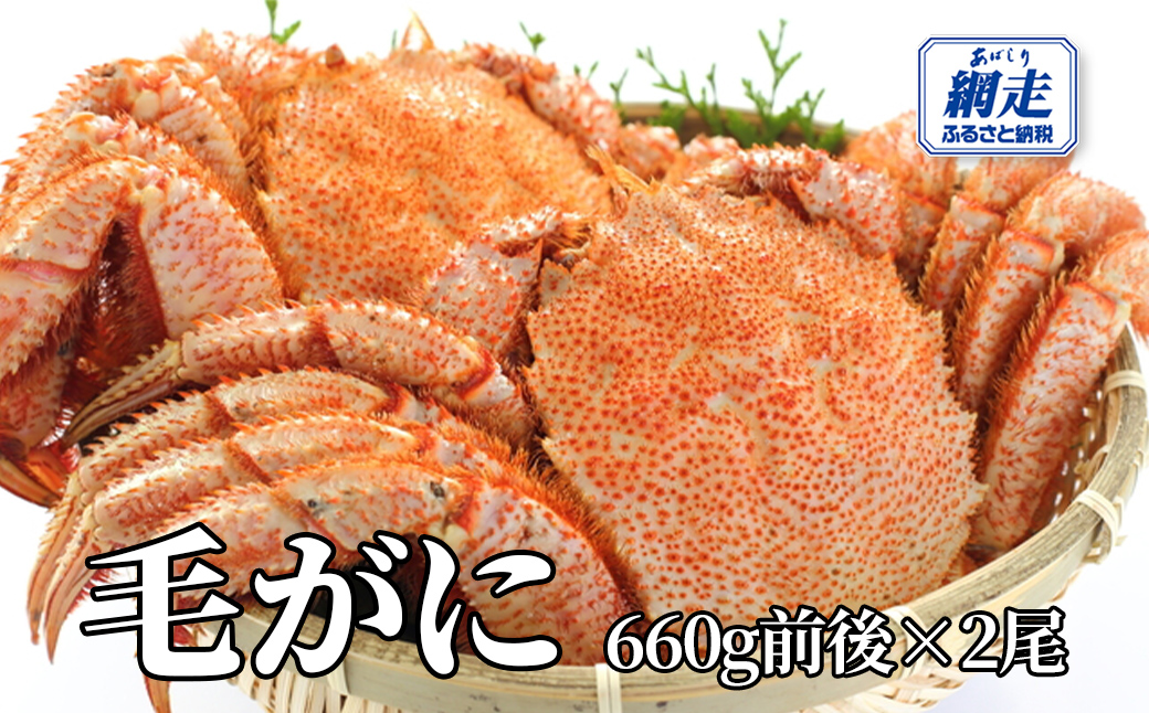 網走産 毛がに1.32kg前後（660g前後×2尾） ABW107