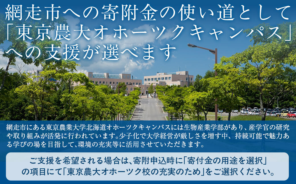 東京農業大学オホーツクキャンパス授業料等210,000円分クーポン券 ABBD007