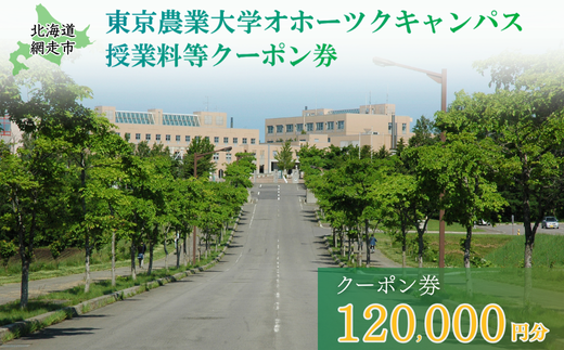 東京農業大学オホーツクキャンパス授業料等120,000円分クーポン券 ABBD004