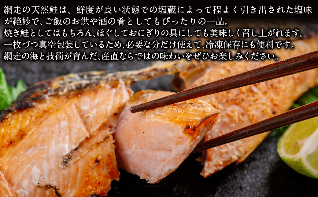 【訳あり】【無添加】北海道網走産天然鮭切り身 800g ABAE016