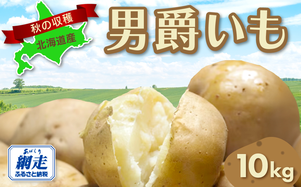 【先行予約】秋の収穫男爵いも 約10kg詰め（2025年9月15日以降発送） ABAO081