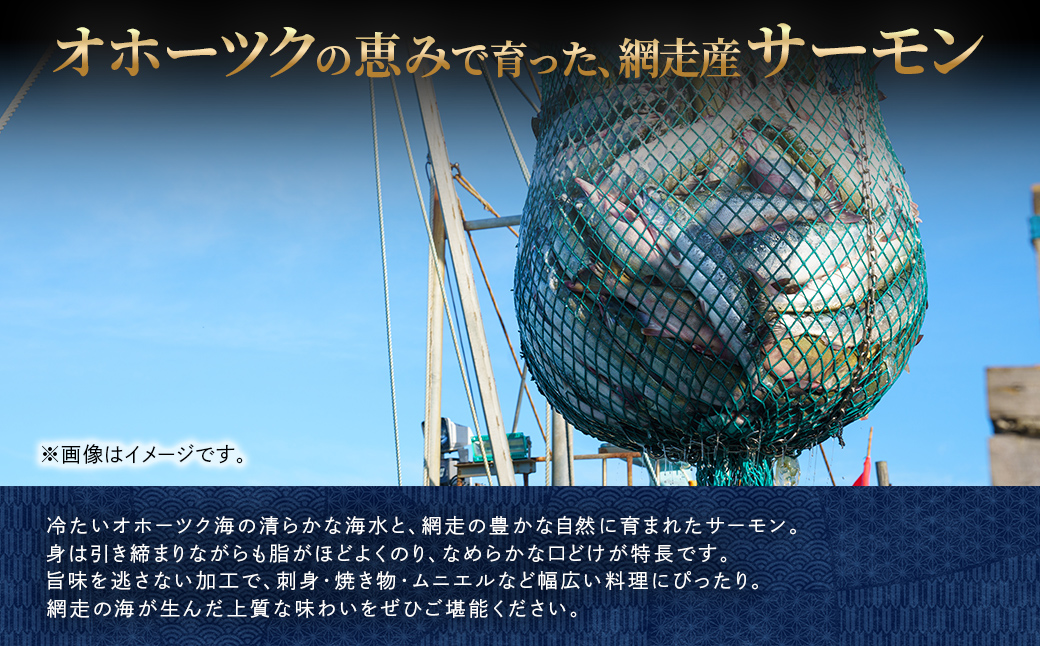 網走湖産 砂出し大和しじみ 1.4kg(200g×7） ABW116