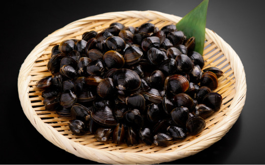 朝食セット 天然紅鮭切り身 5切と網走湖のしじみ貝 1kg ABE116