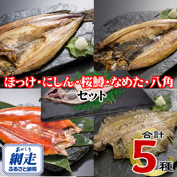網走加工の一夜干しセット 5種B ABE122