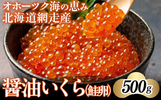 【2024年新物】北海道網走産醤油いくら（鮭卵）500g ABAE1007