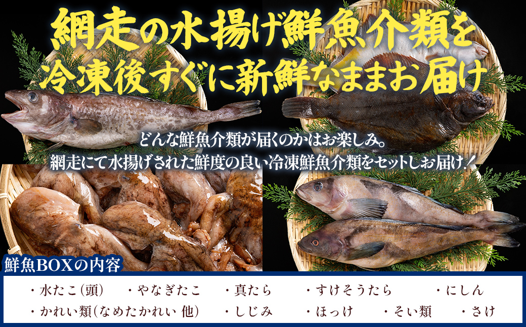 【訳あり】網走産冷凍鮮魚BOX～未利用魚の有効活用（漁業生産者応援企画） ABAE011 | セット 訳あり たこ ホッケ さけ