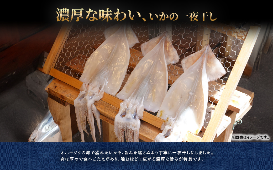 縺縺倶ク螟懷ケイ縺 4譫 荳ュ繧オ繧、繧コ ABW113