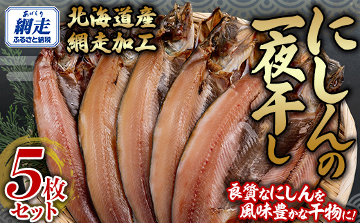 にしん一夜干し5枚セット（網走加工） ABB142