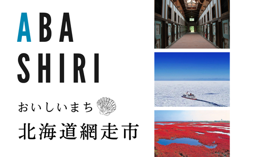 北海道オホーツク産 冷凍帆立貝柱 大小セット ABR007