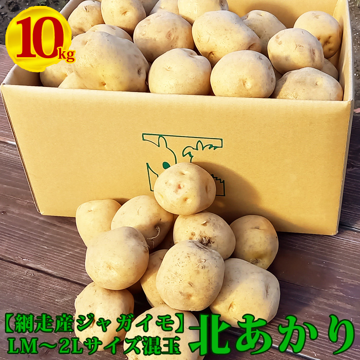 網走産ジャガイモ（北あかり）【LM〜2Lサイズ混玉】約10キロ〇