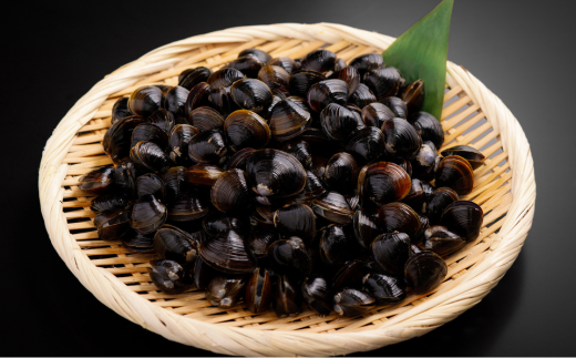 網走加工 ほっけと網走湖産のしじみ貝 ABB130