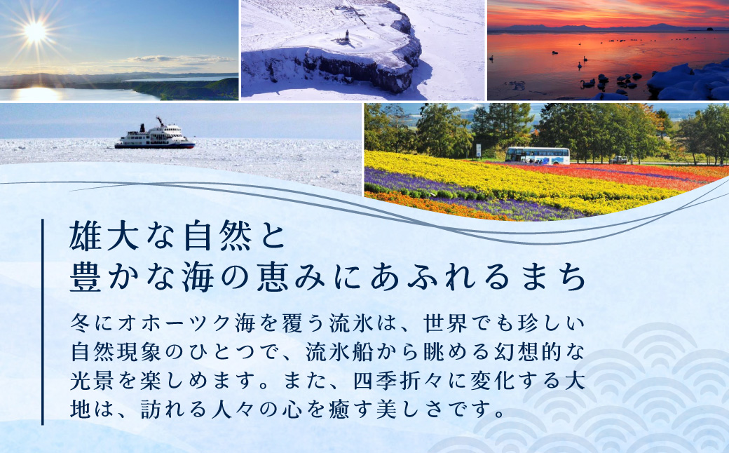 【返礼品なし】北海道網走市・応援寄附5,000円（寄附のみの応援受付 ※返礼品はございません） ABBT002