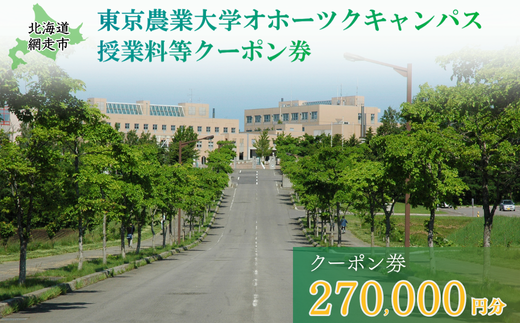 東京農業大学オホーツクキャンパス授業料等270,000円分クーポン券 ABBD009