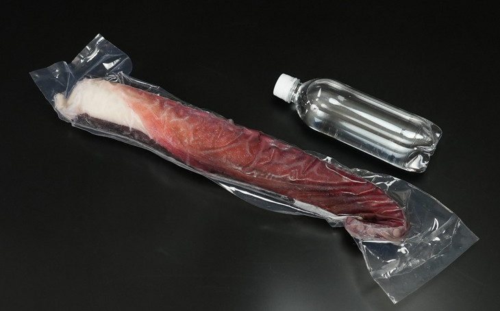 刺身用タコ足 1足1kg＜網走加工＞ ABX002