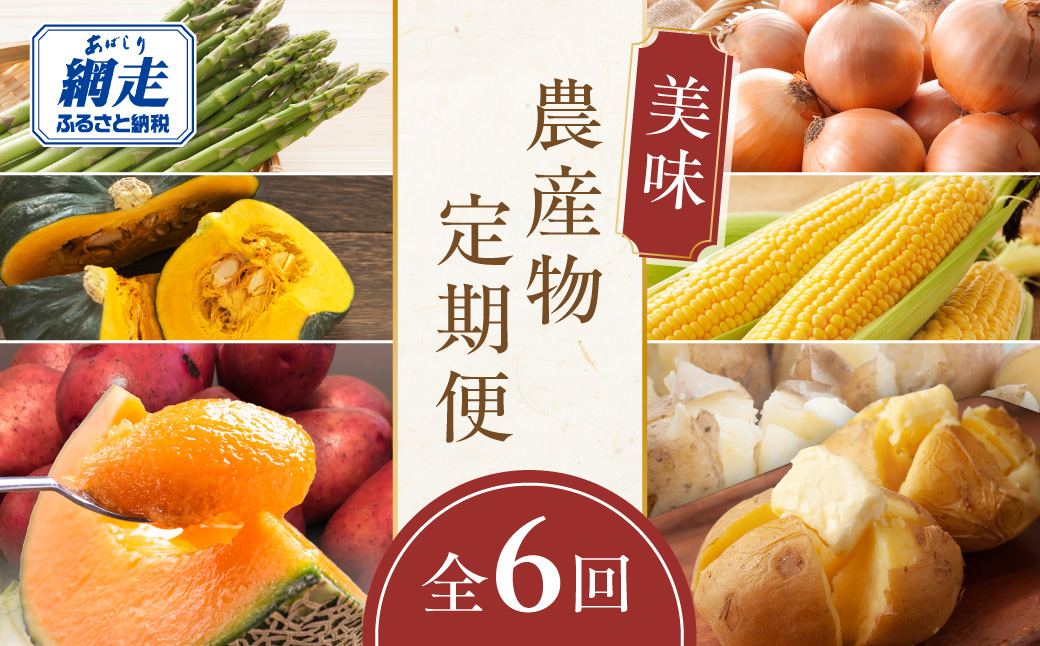 【定期便6回】網走美味農産物定期便「年6回お届け」（網走加工） ABAO1026