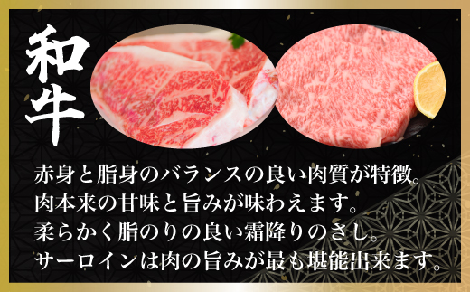 ＜網走産＞【オホーツクあばしり和牛】サーロインステーキ・すき焼き肉 総重量660g ABW019