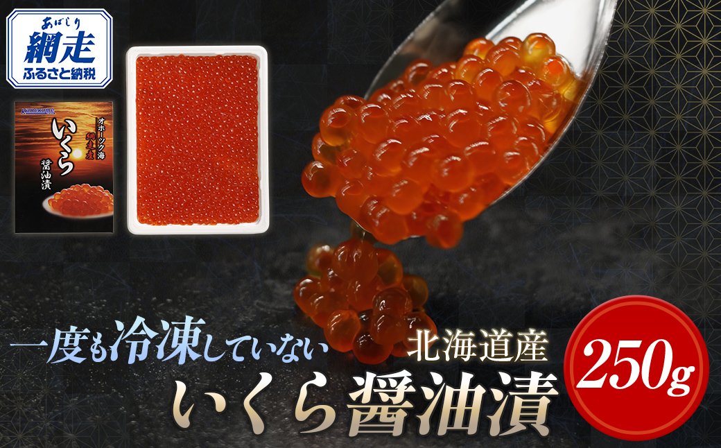 【2025年産新物先行予約】北海道産 一度も冷凍していない いくら醤油漬 250g×1（令和7年10月より順次発送） ABR024