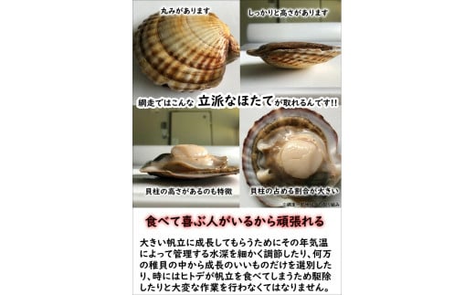 オホーツク産 冷凍帆立（ほたて）の貝柱 ４Ｓサイズ１kg ABX070