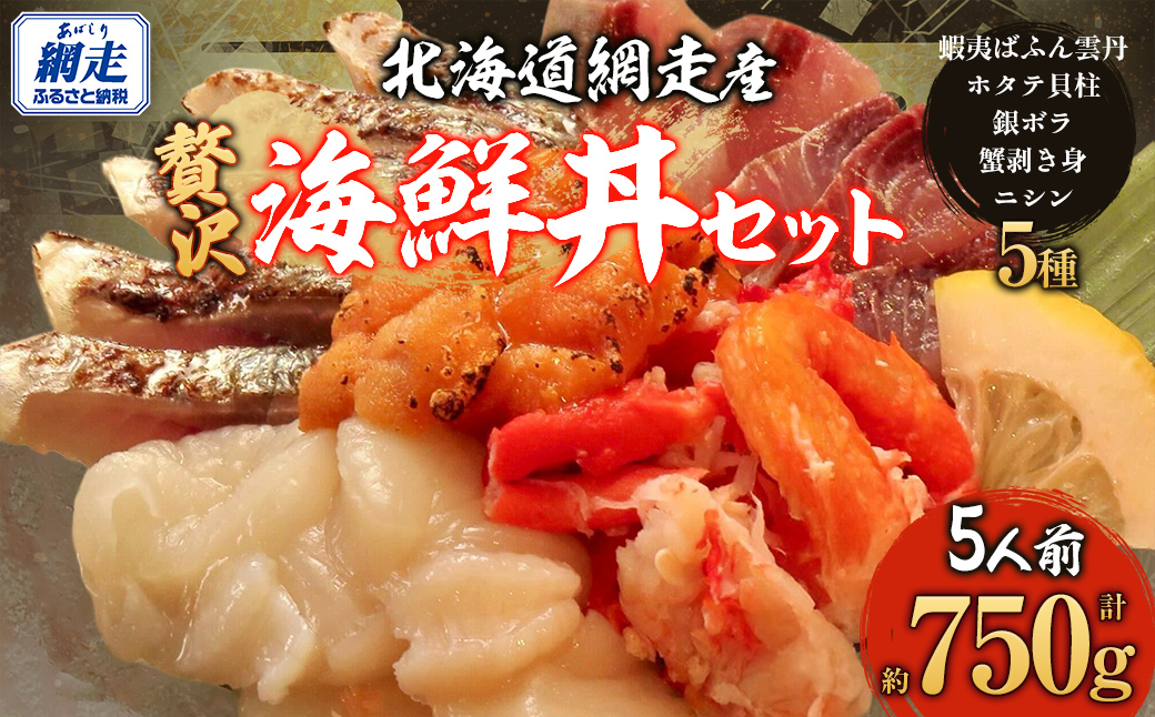 贅沢 網走海鮮丼セット「5人前」 ABJ023