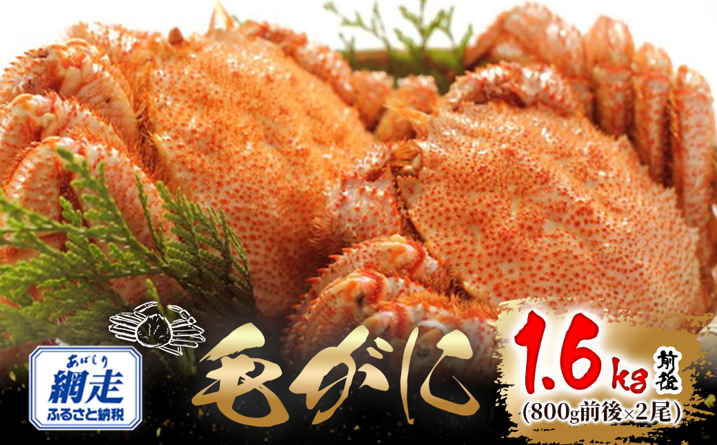 網走産 毛がに1.6kg前後（800g前後×2尾） ABW109