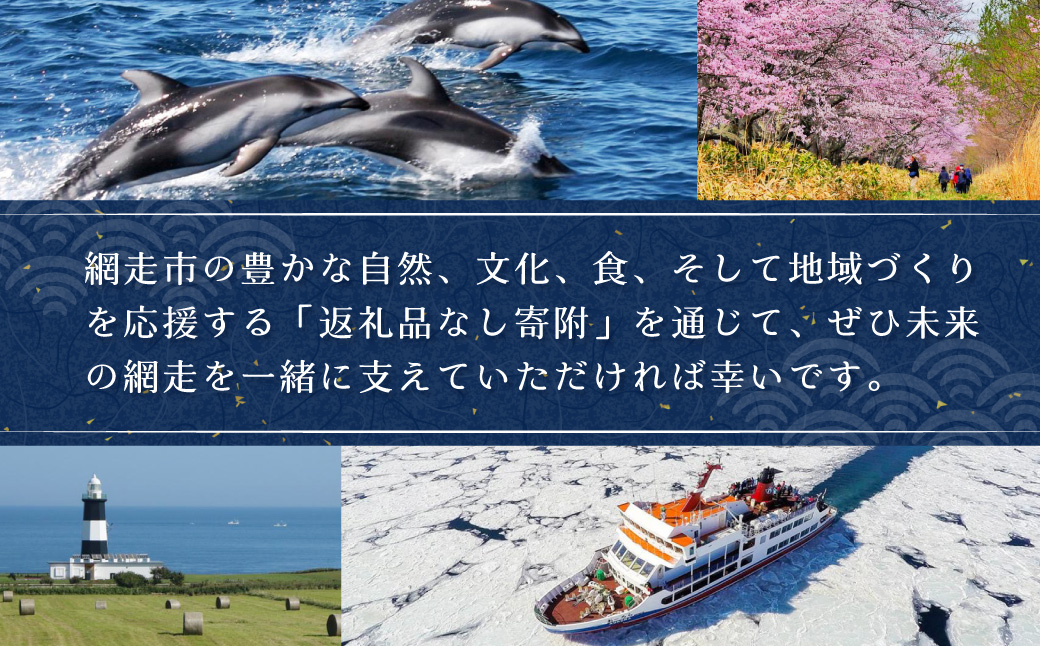 【返礼品なし】北海道網走市・応援寄附5,000円（寄附のみの応援受付 ※返礼品はございません） ABBT002