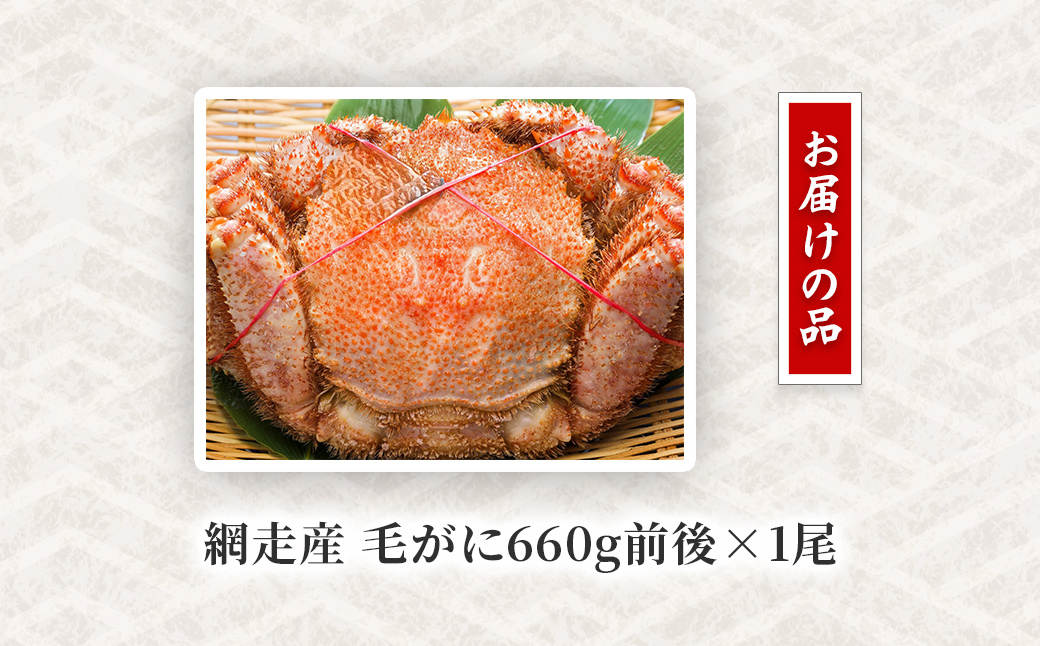 邯イ襍ー逕」 豈帙′縺ォ660g蜑榊セ古1蟆セ ABW106