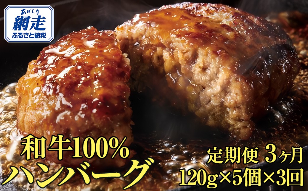 ＜網走産＞【3ヶ月定期便】【オホーツクあばしり和牛】ハンバーグ・総重量 600g（120g×5個）×3ヶ月 ABW015