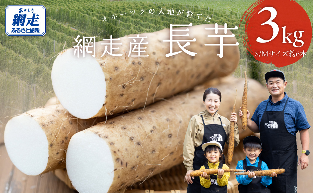長芋 3kg ABBX001