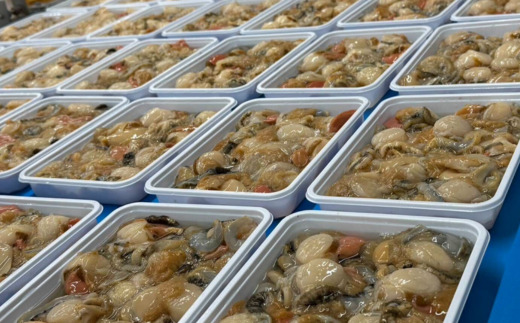 【先行予約】冷凍生剥きほたて 1kg（500g×2）（2026年3月より順次発送） ABAE009