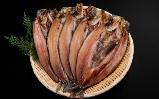 にしん一夜干し5枚セット（網走加工） ABB142